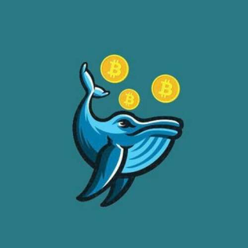Crypto Whales