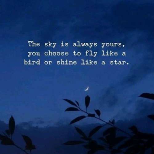 Quotes – Thoughts